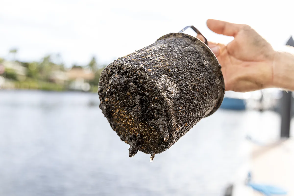 dirty sea strainer basket - without ElectroStrainer